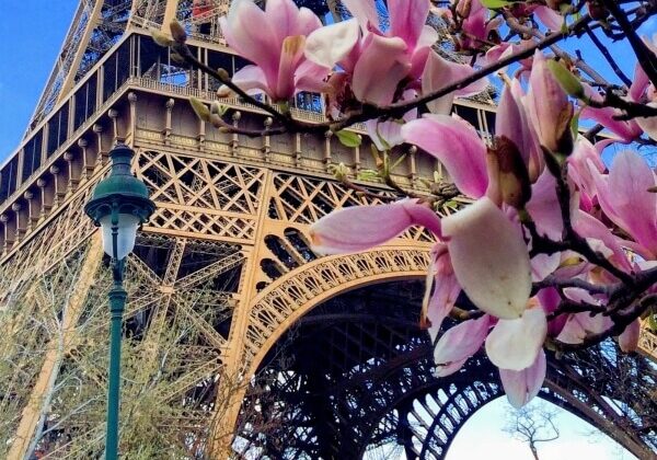 Paris, France Eiffel tower in spring