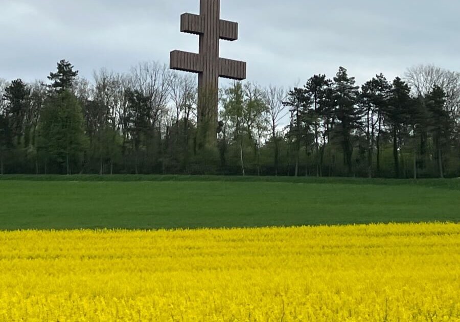 Countryside field of Colza and the Cross of Lorraine
