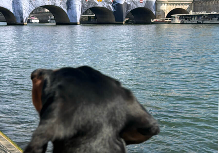 Gaspard anticipates June 6th when he can walk through it!...Photo by Diane Carruthers