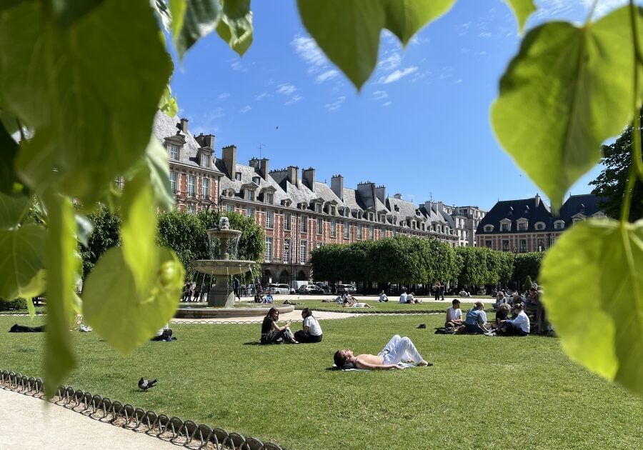Sunning on the lawn at Place des Vosges in Paris