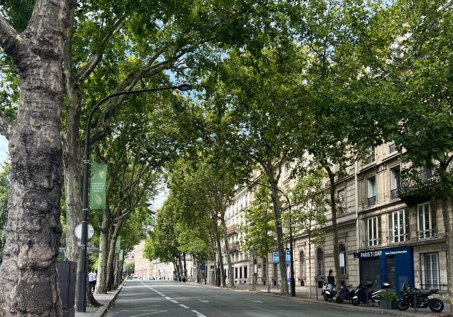 View down the empty Quai de la Megisserie in Paris