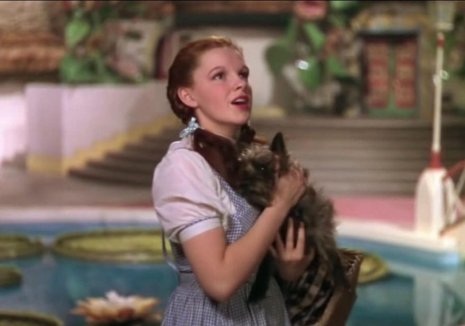 Dorothy and Toto from the Wizard of Oz