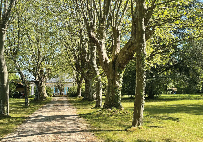 Tree lined drive of the Hunting Lodge property in the Bordeaux area