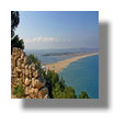 French leaseback