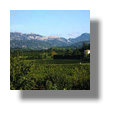 French leaseback