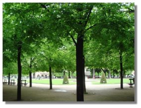 Place des Vosges