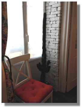 Henri the cactus in Nice, France