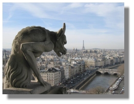 Notre Dame - A Paris view