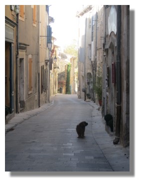 The village of Menerbes The village of Menerbes