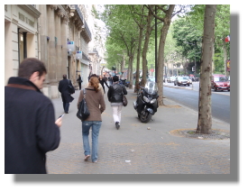 Trees and wider sidewalks in Paris - photo by Transit Miami