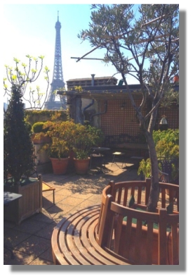 Penthouse for sale in Paris - terrace