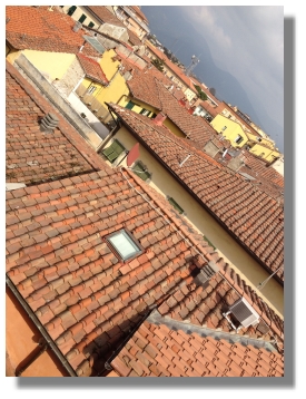 The endless Tiled Rooftops of Pisa