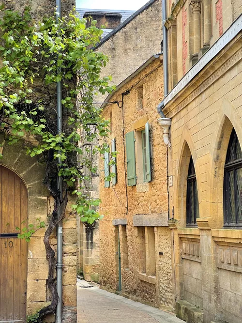 quaint French village street with iconic houses and ivy